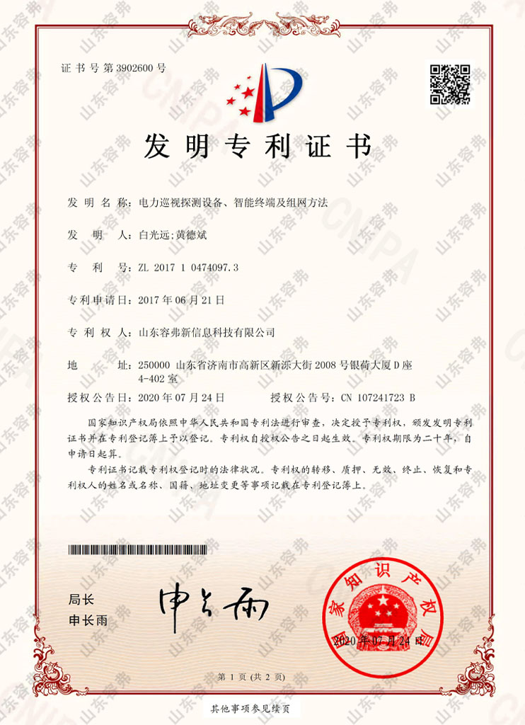 电力巡视探测设备、智能终端及组网方法